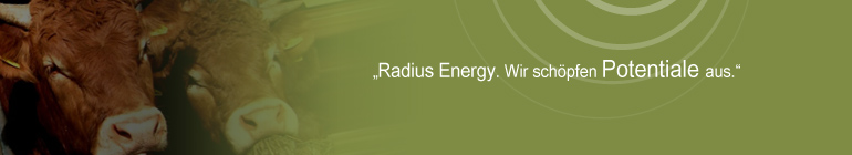 Radius Energy Partners - Revitalisierung