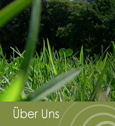 Radius Energy Partners - Ueber Uns